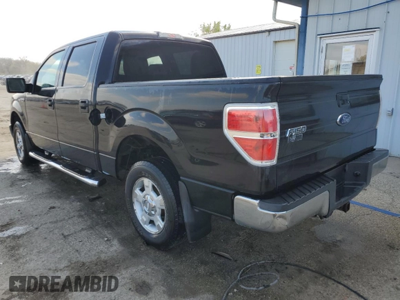 2010 Ford F-150 XL with VIN 1FTEW1C81AFD75177, listed as a Copart auction lot 52542515 with 165,694 mi miles and Salvage Title. Bid and sale history available at carsss.com. Image 2.