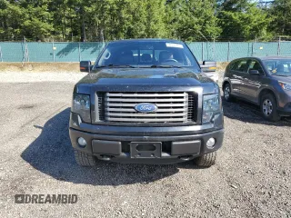 2011 Ford F-150 XL with VIN 1FTFW1EF1BFC50696, listed as a Copart auction lot 50950275 with 131,517 mi miles and Clean Title. Bid and sale history available at carsss.com. Image 5.