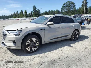 2022 Audi e-tron Premium Plus z VIN WA1LAAGE5NB025922, wystawiony jako Copart lot #60321775 z przebiegiem 35 498 mil mil oraz Czysty tytuł • Clean title. Historia ofert i sprzedaży dostępna na DreamBid. Obrazek 1.