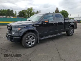 2014 Ford F-150 XL with VIN 1FTFW1EF1EFC21428, listed as a Copart auction lot 62192815 with 171,620 mi miles and Salvage title. Bid and sale history available at DreamBid. Image 1.