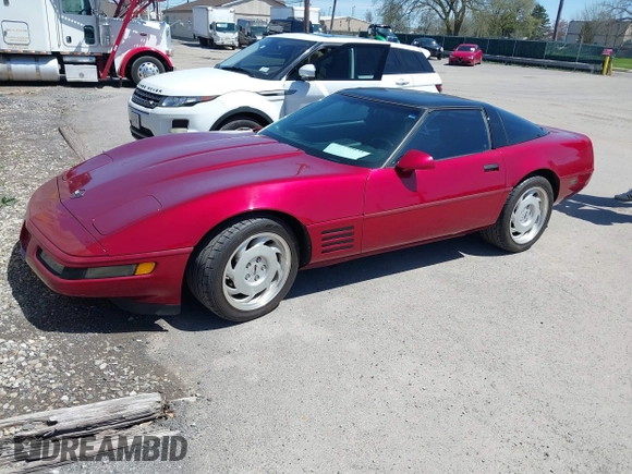 1992 Chevrolet Corvette with VIN 1G1YY23P4N5102033, listed as a IAAI auction lot 42146635 with 67,766 mi miles. Bid and sale history available at carsss.com. Image 2.