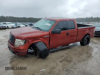 2014 Ford F-150 XL with VIN 1FTFX1CF4EKF31936, listed as a Copart auction lot 46917435 with 144,012 mi miles and Salvage Title. Bid and sale history available at carsss.com. Image 1.