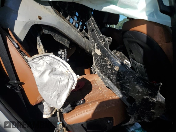 2024 Kia Telluride SX Prestige X-Line with VIN 5XYP5DGC9RG455959, listed as a Copart auction lot 48055685 with 20,199 mi miles and Salvage Title. Bid and sale history available at DreamBid. Image 11.