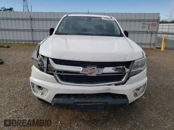 2016 Chevrolet Colorado 4WD WT with VIN 1GCHTBE38G1134171, listed as a Copart auction lot 79308944 with 204,733 mi miles and Salvage Title. Bid and sale history available at carsss.com. Image 5.