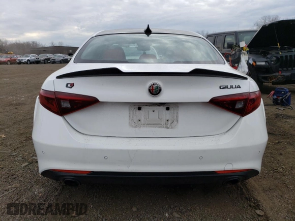 2019 Alfa Romeo Giulia with VIN ZARFANANXK7622362, listed as a Copart auction lot 46535223 with 28,946 mi miles. Bid and sale history available at carsss.com. Image 6.