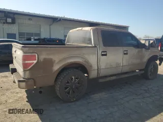 2010 Ford F-150 XL with VIN 1FTEW1C82AFD04120, listed as a Copart auction lot 48870955 with 209,719 mi miles and Salvage Title. Bid and sale history available at carsss.com. Image 3.