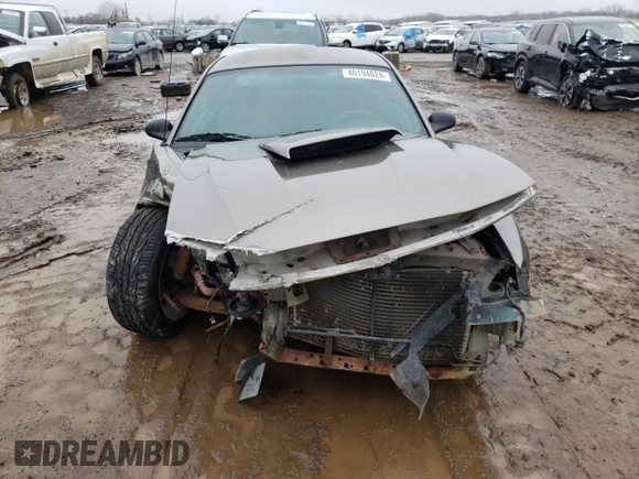 2002 Ford Mustang GT Deluxe with VIN 1FAFP42X02F203595, listed as a Copart auction lot 40194624 with 0 mi miles and Salvage Title. Bid and sale history available at carsss.com. Image 5.