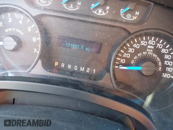 2013 Ford F-150 XL with VIN 1FTEX1CM9DFA85591, listed as a IAAI auction lot 41421995 with 171,903 mi miles. Bid and sale history available at carsss.com. Image 7.