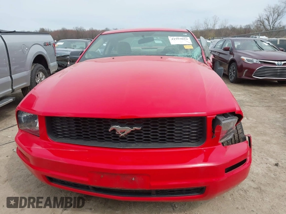 2005 Ford Mustang Deluxe with VIN 1ZVFT80N755161724, listed as a IAAI auction lot 41994894 with 104,917 mi miles. Bid and sale history available at carsss.com. Image 12.