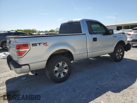 2013 Ford F-150 XL with VIN 1FTMF1EF3DFB72688, listed as a Copart auction lot 52922865 with 196,457 mi miles and Salvage Title. Bid and sale history available at DreamBid. Image 3.
