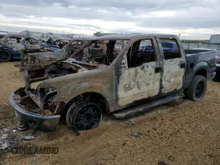 2014 Ford F-150 XL with VIN 1FTFW1EF9EFB90364, listed as a Copart auction lot 46889715 with 0 mi miles and Non Repairable. Bid and sale history available at carsss.com. Image 1.