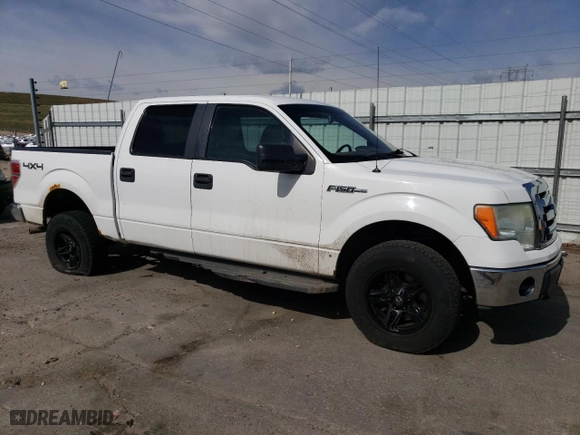 2010 Ford F-150 XL with VIN 1FTFW1EVXAFB77334, listed as a Copart auction lot 51265565 with 214,635 mi miles and Clean Title. Bid and sale history available at carsss.com. Image 4.