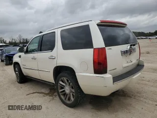 2013 Cadillac Escalade Platinum Edition with VIN 1GYS4DEF9DR124295, listed as a Copart auction lot 43669315 with 127,683 mi miles and Salvage Title. Bid and sale history available at carsss.com. Image 2.