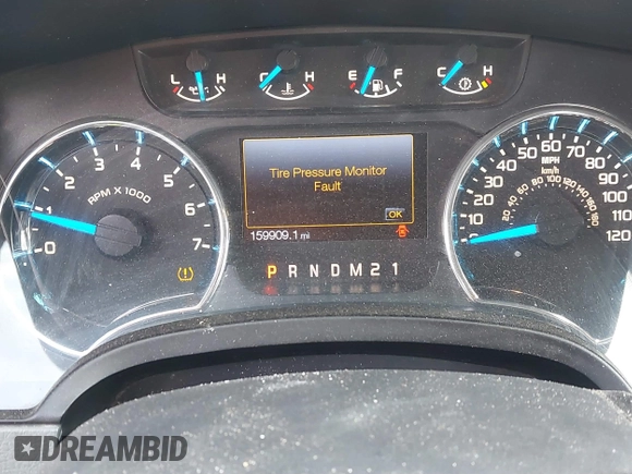 2013 Ford F-150 XL with VIN 1FTEX1CM8DFD67446, listed as a IAAI auction lot 41891784 with 159,909 mi miles and . Bid and sale history available at DreamBid. Image 7.