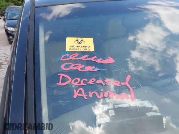 2011 Nissan Sentra 2.0 with VIN 3N1AB6AP2BL703931, listed as a IAAI auction lot 42205000 with Not provided miles and . Bid and sale history available at DreamBid. Image 11.
