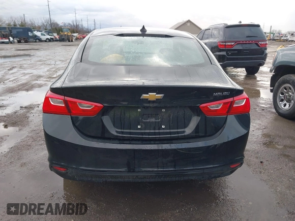 2019 Chevrolet Malibu LS with VIN 1G1ZB5ST7KF131084, listed as a IAAI auction lot 41726724 with 125,388 mi miles and . Bid and sale history available at DreamBid. Image 17.