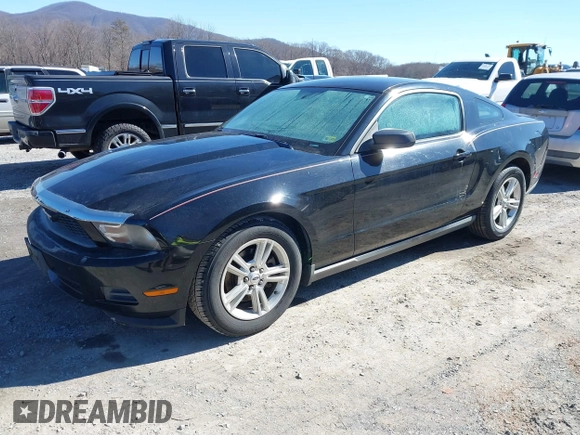 2011 Ford Mustang V6 with VIN 1ZVBP8AM2B5153163, listed as a IAAI auction lot 41645917 with 286,609 mi miles and . Bid and sale history available at carsss.com. Image 2.