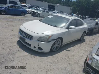 2011 Nissan Maxima SV with VIN 1N4AA5AP6BC808368, listed as a IAAI auction lot 42673545 with 116,136 mi miles and . Bid and sale history available at DreamBid. Image 2.
