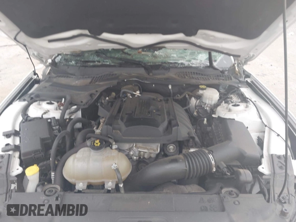 2019 Ford Mustang EcoBoost with VIN 1FA6P8THXK5120597, listed as a IAAI auction lot 42404666 with 37,968 mi miles and . Bid and sale history available at DreamBid. Image 10.