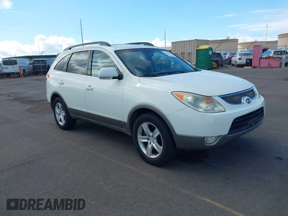 2009 Hyundai Veracruz GLS with VIN KM8NU13C09U079533, listed as a IAAI auction lot 42454292 with 169,828 mi miles and . Bid and sale history available at DreamBid. Image 1.