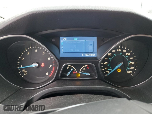 2014 Ford Focus SE with VIN 1FADP3K21EL394181, listed as a Copart auction lot 46388205 with 132,759 mi miles and Clean Title. Bid and sale history available at carsss.com. Image 9.