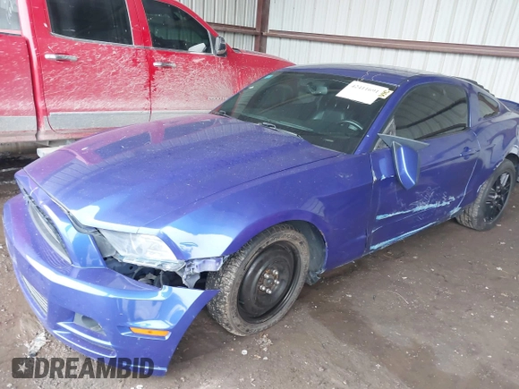 2013 Ford Mustang V6 with VIN 1ZVBP8AM2D5262273, listed as a IAAI auction lot 42411691 with 163,552 mi miles and . Bid and sale history available at DreamBid. Image 18.