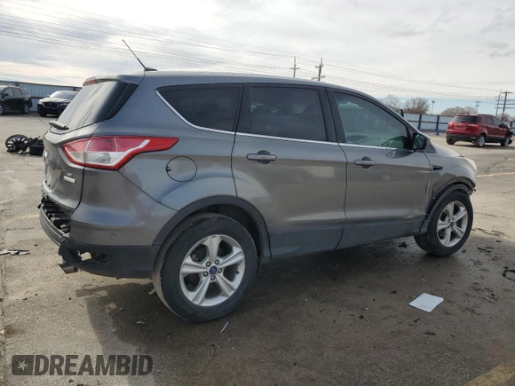 2014 Ford Escape SE with VIN 1FMCU0GX4EUE13796, listed as a Copart auction lot 46366925 with 161,255 mi miles and Salvage Title. Bid and sale history available at carsss.com. Image 3.