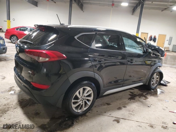2017 Hyundai Tucson SE with VIN KM8J3CA46HU538149, listed as a Copart auction lot 48359064 with 148,836 mi miles and Salvage Title. Bid and sale history available at carsss.com. Image 3.