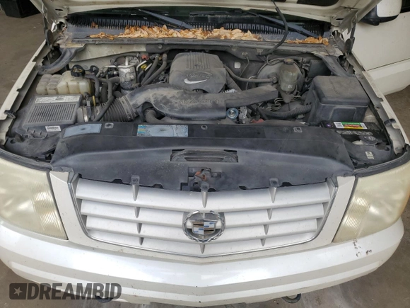 2002 Cadillac Escalade z VIN 1GYEC63T22R234266, wystawiony jako Copart lot #53041985 z przebiegiem 186 571 mil mil oraz Szkody całkowita. Historia ofert i sprzedaży dostępna na DreamBid. Obrazek 12.