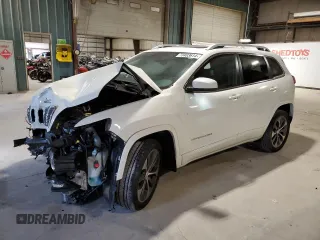 2019 Jeep Cherokee with VIN 1C4PJLJN4KD208014, listed as a Copart auction lot 73403614 with 16,863 mi miles and Salvage title. Bid and sale history available at DreamBid. Image 1.