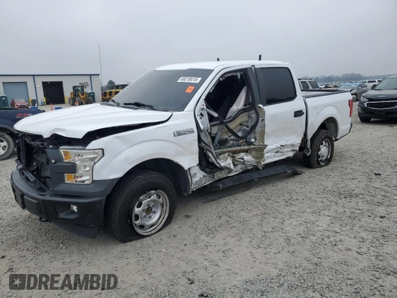 2017 Ford F-150 XL with VIN 1FTEW1EF1HKE26819, listed as a Copart auction lot 49218415 with 100,433 mi miles and Salvage Title. Bid and sale history available at carsss.com. Image 1.