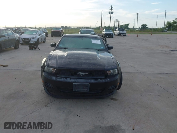 2012 Ford Mustang Premium with VIN 1ZVBP8AM5C5230822, listed as a IAAI auction lot 42647776 with 136,049 mi miles and . Bid and sale history available at DreamBid. Image 12.