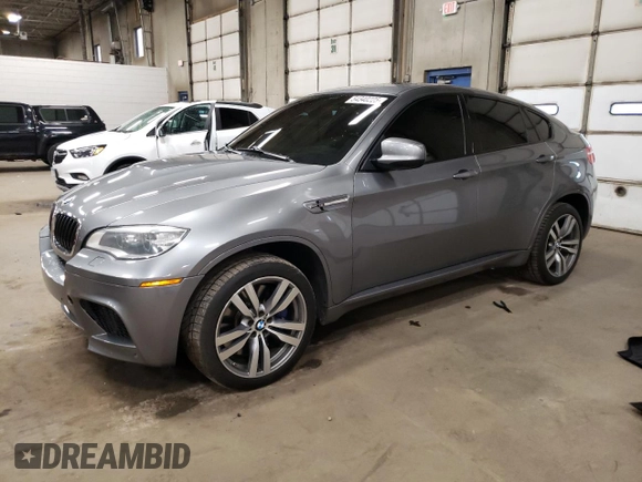 2013 BMW X6 M with VIN 5YMGZ0C5XDLL29831, listed as a Copart auction lot 54340225 with 117,503 mi miles and Salvage Title. Bid and sale history available at carsss.com. Image 1.