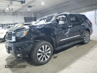 2019 Toyota Sequoia Limited with VIN 5TDJY5G18KS172799, listed as a Copart auction lot 85010134 with 29,122 mi miles and Salvage Title. Bid and sale history available at carsss.com. Image 1.