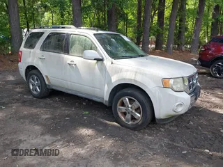 2009 Ford Escape Limited with VIN 1FMCU04G69KC26002, listed as a IAAI auction lot 42345076 with 262,737 mi miles and . Bid and sale history available at DreamBid. Image 1.