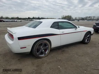 2013 Dodge Challenger R/T with VIN 2C3CDYBT9DH679344, listed as a Copart auction lot 52183435 with 123,261 mi miles and Salvage Title. Bid and sale history available at carsss.com. Image 3.