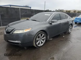 2009 Acura TL Tech with VIN 19UUA86509A012593, listed as a Copart auction lot 88325805 with 244,408 mi miles and Salvage Title. Bid and sale history available at carsss.com. Image 1.