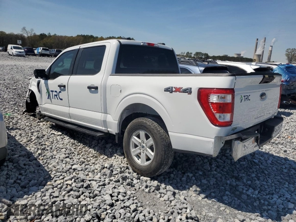 2023 Ford F-150 XL с VIN 1FTEW1EP8PFA03624, выставлен на аукционе Copart как лот 49273815 с пробегом 35 218 миль миль и Списание • Salvage title. История ставок и продаж доступна на DreamBid. Изображение 2.