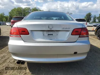 2010 BMW 3 Series with VIN WBAWV5C59APF95827, listed as a Copart auction lot 67986434 with 110,207 mi miles and Salvage title. Bid and sale history available at DreamBid. Image 6.
