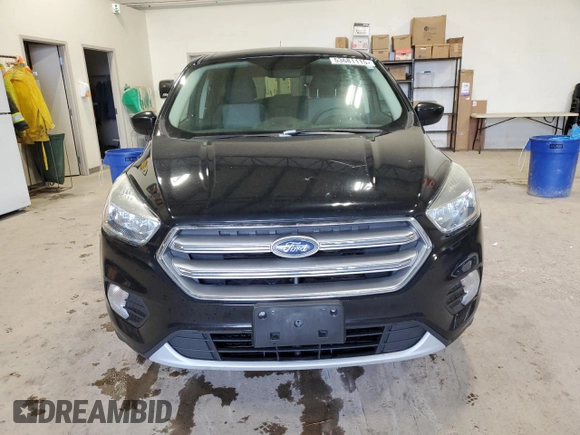 2017 Ford Escape SE with VIN 1FMCU9GD2HUD96737, listed as a Copart auction lot 53681115 with 166,521 mi miles and Clean Title. Bid and sale history available at carsss.com. Image 5.