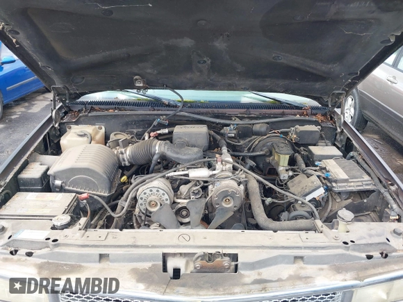 1999 Chevrolet Tahoe Z71 with VIN 1GNEK13R1XJ425996, listed as a IAAI auction lot 41798943 with 203,106 mi miles and . Bid and sale history available at DreamBid. Image 10.
