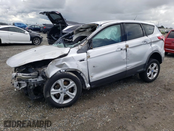 2013 Ford Escape SE with VIN 1FMCU0GX8DUC94066, listed as a Copart auction lot 49173525 with 0 mi miles and Salvage Title. Bid and sale history available at carsss.com. Image 1.