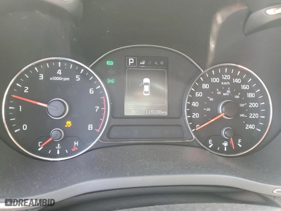 2018 Kia Forte S with VIN 3KPFL4A78JE181457, listed as a Copart auction lot 49241015 with 119,188 mi miles and Salvage Title. Bid and sale history available at carsss.com. Image 9.