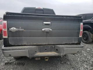 2013 Ford F-150 with VIN 2ATE01102DKD97632, listed as a Copart auction lot 49815235 with Not provided miles and Salvage title. Bid and sale history available at DreamBid. Image 6.