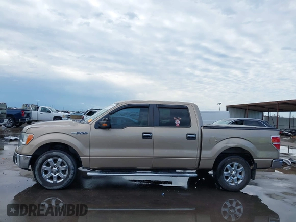 2013 Ford F-150 XL with VIN 1FTEW1CM3DKD22800, listed as a IAAI auction lot 42097438 with 200,792 mi miles and . Bid and sale history available at DreamBid. Image 15.