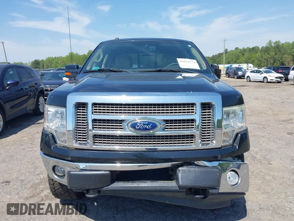 2010 Ford F-150 XL with VIN 1FTFW1EV5AFD48748, listed as a IAAI auction lot 42031274 with 195,898 mi miles. Bid and sale history available at carsss.com. Image 12.