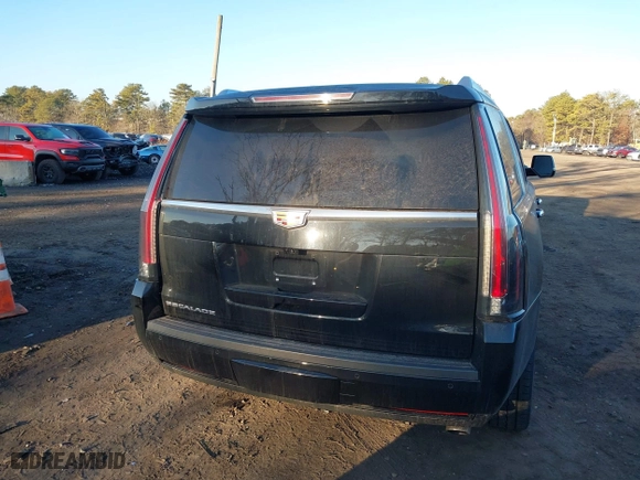 2019 Cadillac Escalade Luxury with VIN 1GYS4BKJ3KR249030, listed as a IAAI auction lot 41650655 with 64,373 mi miles. Bid and sale history available at carsss.com. Image 16.