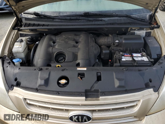 2008 Kia Sedona LX with VIN KNDMB233186251289, listed as a Copart auction lot 74317094 with 0 mi miles and Non Repairable. Bid and sale history available at carsss.com. Image 12.