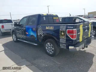 2013 Ford F-150 XL with VIN 1FTFW1CT3DKD94446, listed as a IAAI auction lot 41865548 with 204,567 mi miles. Bid and sale history available at carsss.com. Image 3.