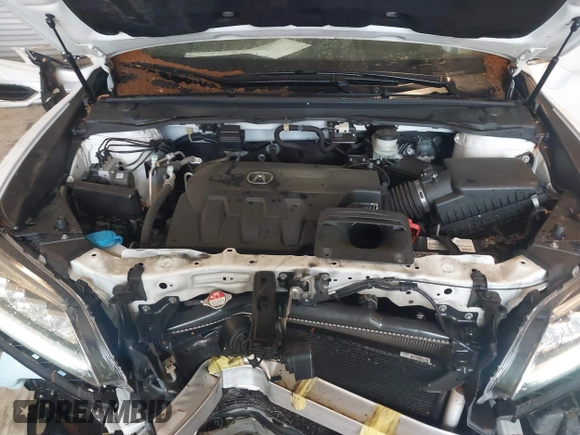 2017 Acura RDX with VIN 5J8TB3H31HL002391, listed as a IAAI auction lot 41983455 with 92,106 mi miles. Bid and sale history available at carsss.com. Image 10.